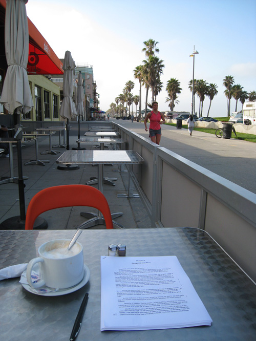 :en:venice_beach.jpg :en:venice_beach.jpg